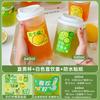 Vaso Desechable para Té de Leche con Tapa, Vaso para Bebida de Jugo con Perlas, Vaso para Té de Limón Calibre 90 Moldeado por Inyección, Vaso de Plástico