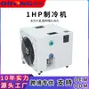 Enfriador de Baño de Hielo Transfronterizo Calefacción y Refrigeración Integrada Bañera Doméstica Máquina de Refrigeración Rehabilitación Fisioterapia Baño de Hielo Terapia de Frío