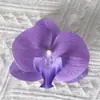 Cabezas de flores artificiales de orquídea mariposa, materiales para flores de pared, materiales para pasadores y accesorios para el cabello hechos a mano para DIY, piezas de flores y accesorios de pétalos para decoración de bodas