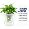 160 # Vaso transparente autoirrigável para plantas verdes, vaso de plástico autoabsorvente para jardinagem, disponível para atacado da fábrica