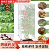 Cubierta Protectora para Tomate, Invernadero para Frutales, Huerto, Cubierta de Gasa a Prueba de Insectos para Arándanos, Cubierta Transfronteriza a Prueba de Insectos para Plantas de Frutales