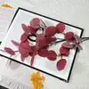 Flores Artificiales, Hojas de Manzana, Plantas Verdes, Hojas sin Fruto, Hojas de Dinero, Decoración, Salón de Bodas, Plantas Artificiales, Venta al por Mayor de Fabricantes