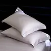Fronhas Lyocell Tencel Fronhas de Seda Gelada Dupla Face Conjunto de Dois para Casa Pessoa Solteira Cor Sólida 48cmx74cm Núcleo de Travesseiro 2