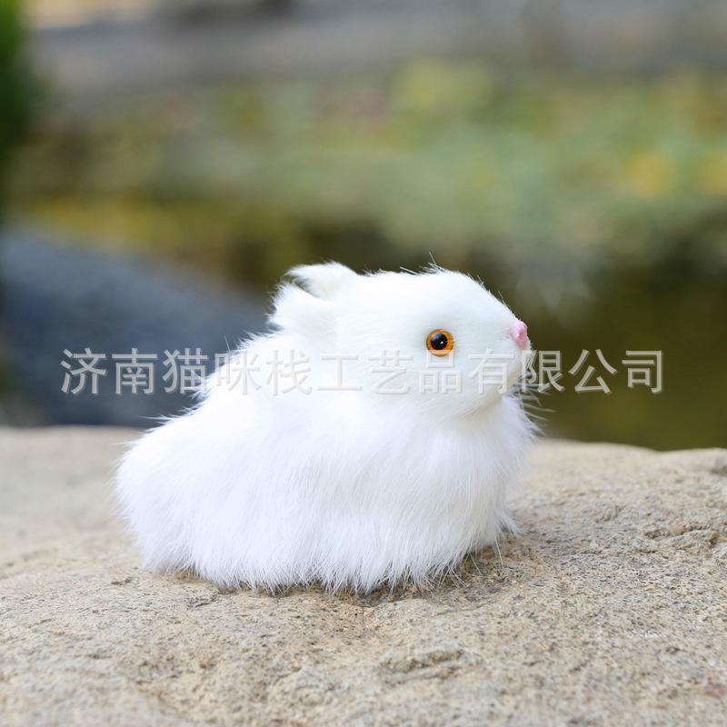 小兔宝宝