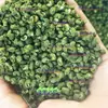 Los Materiales Medicinales Chinos Incluyen Pimienta de Sichuan Natural, Pimienta de Ratán, Pimienta Verde, Pimienta Negra y Pimienta Roja para Uso Medicinal y Alimentario