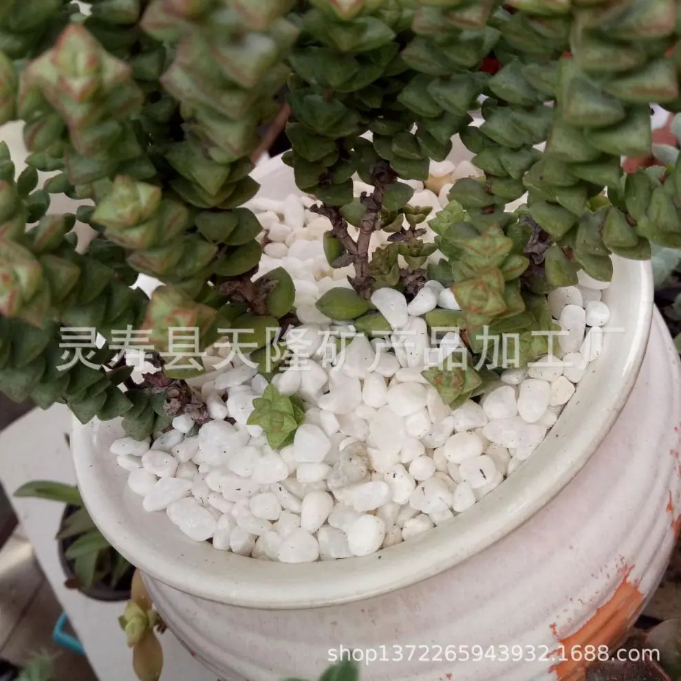 IMG20180408141820