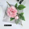 Flor de Peonía Artificial de una Sola Rama y Dos Cabezas Flor de Seda Decoración de Escritorio de Habitación Adornos de Arreglo Floral Accesorios de Aromaterapia Ramo Falso Transfronterizo