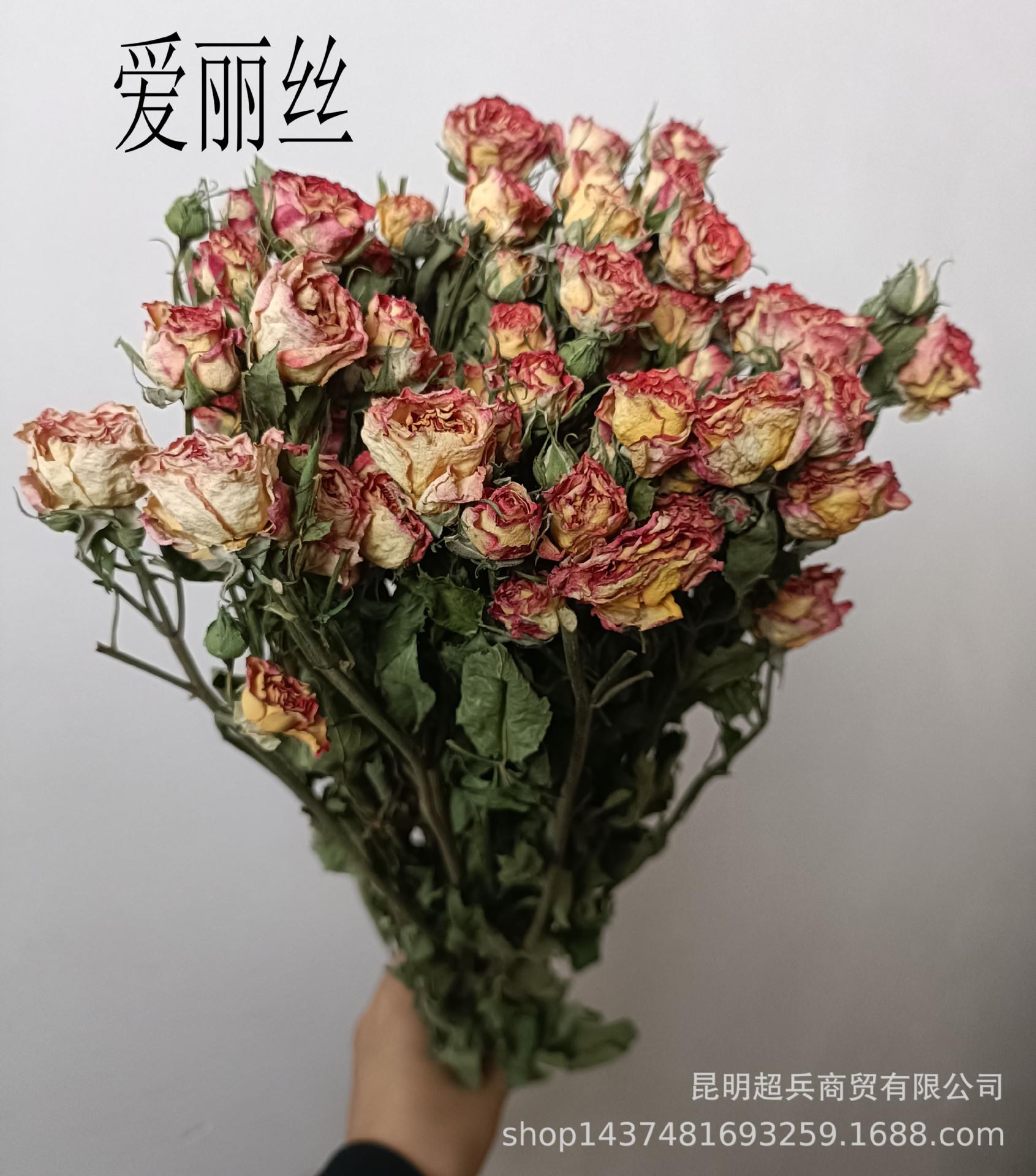 IMG20230727141240.jpg