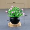 Planta verde simulación flor mini estrellas planta en maceta bonsái adornos de escritorio fabricantes mayoreo decoraciones para el hogar flores
