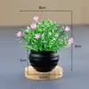 Flores Artificiales en Maceta Pequeña con Gypsophila y Hojas Puntiagudas, Bonsáis Pequeños de Plástico Simulados Regalos de Escritorio, Flores de Bonsái de Plantas Verdes Simuladas
