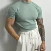 Ropa de Hombre de Algodón Puro Tallas Grandes Verano 2026 Nueva Camiseta de Manga Corta de Color Sólido con Cuello Semi-Alto y Canalé para Hombre