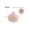 Molde de Taza de Avión Realista Juguete Sexual para Hombres, Producto Sexual para Adultos, Masturbador de Glúteos y Vagina