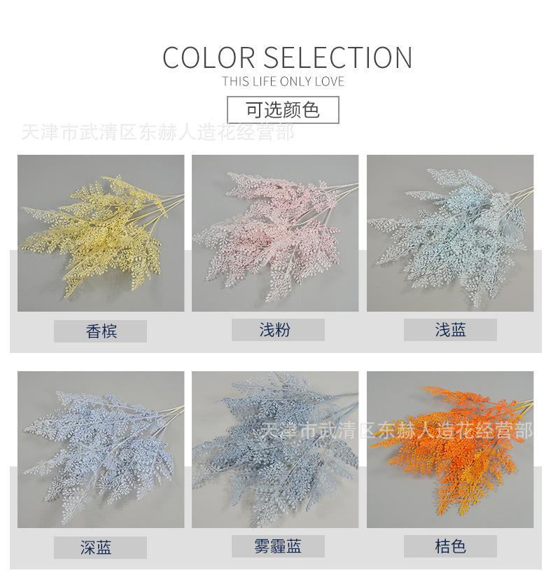 详情_02.jpg