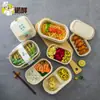 Caixas de Salada Leve Personalizáveis para Comércio Exterior Transfronteiriço, Caixas de Embalagem Descartáveis de Polpa, Marmitas Biodegradáveis, Caixas para Levar, Caixas Fitness