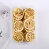 Pacote de Material DIY Feito à Mão Pequeno Buquê Flores Preservadas Flores Secas Decoração de Sala de Estar Ornamento Adereços de Casamento Lembrança para Fotos