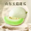 Melón Dulce Yugu de Shandong, disponible para entrega 3/5/ 4.5 kg textura de helado, caja de regalo de temporada, empaque colorido, melón fresco, fruta fresca