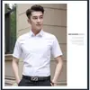Comercio Exterior 2025 Camisa Versátil de Manga Corta de Verano de Gama Alta Color Sólido Camisa Casual de Seda Helada para Hombre