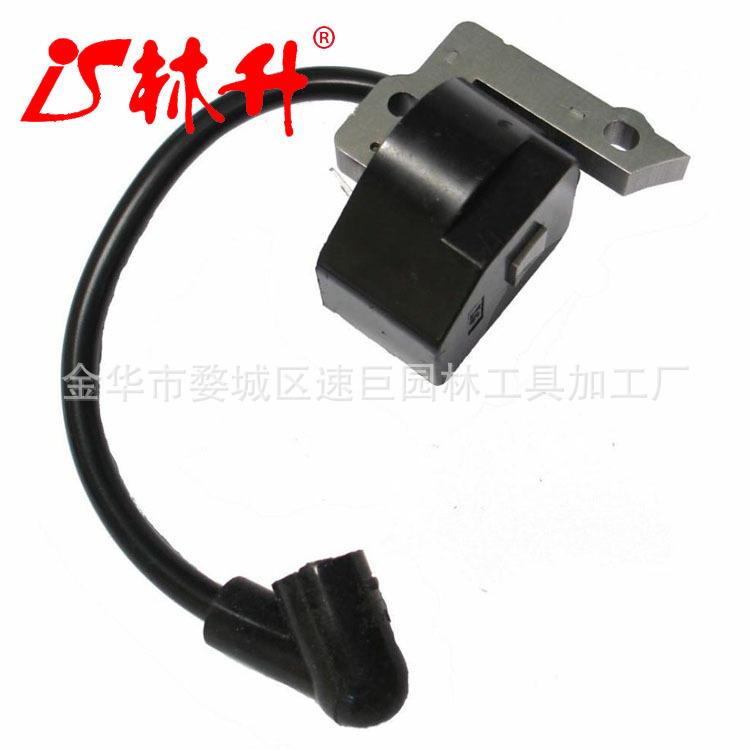 Ignition Module Coil Assembly