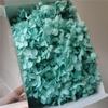 Anna Hortênsia 20G/Caixa Flor Imortal Flor Eterna Caixa de Presente Material de Flor Flor Seca Flor Preservada Material de Flor Imortal