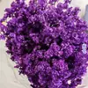 Grama de Cristal Flores Eternas Fabricante de Yunnan Atacado Copo de Vidro Materiais de Flores DIY Flores Flutuantes Materiais de Aromaterapia Transmissão ao Vivo Sala de Casamento