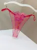 Sexy Malla Transparente Tricolor Bordado Completo Colorido Encaje Encaje Sin Entrepierna Vista Privada Transfronterizo