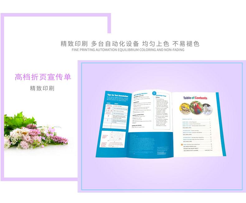 当纳利蓝色宣传画册详情页-13