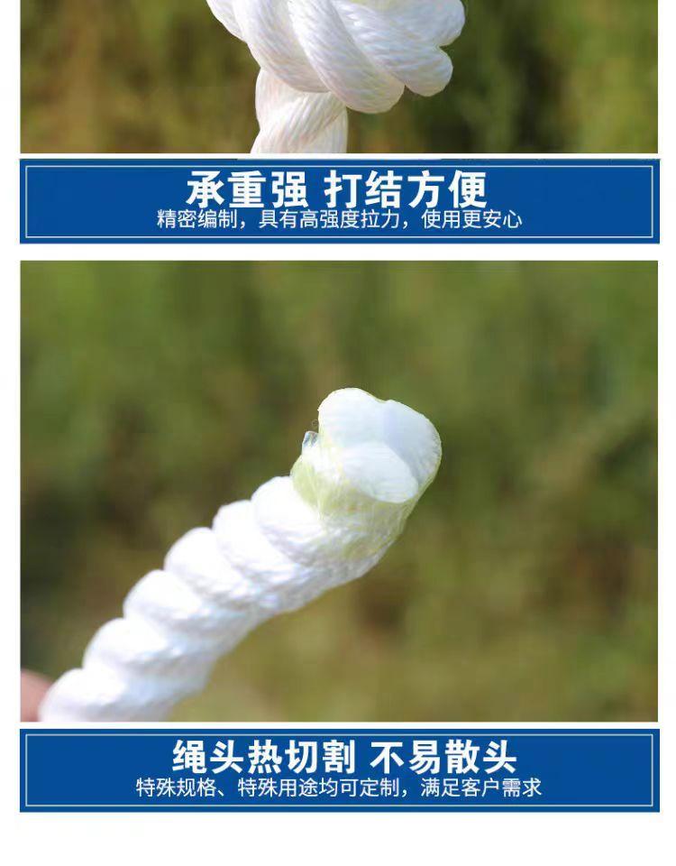 微信图片_20240301094753