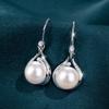 Internet Celebridade Ao Vivo Novo Conjunto de Venda Quente Simulação de Pérolas de Água Doce Pérolas Brincos de Diamante Completo Colar de Pingente de Luxo Feminino