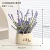 Plantas Verdes Simuladas, Árbol del Dinero de Lujo Accesible y Elegante, Adornos de Decoración para Sala de Estar Interior, Plantas Artificiales en Maceta, Paisajismo, Flores Artificiales, Plantas Biónicas