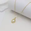 Collar Elegante de Alta Calidad de Lujo Ligero con Concha Blanca para Mujer, Galvanizado en Oro Real, Cadena Sencilla de Clavícula Exquisita de Moda al por Mayor