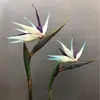 Pájaro del Paraíso de Goma Suave Flor Artificial Individual Grande de Madera de Arándano Flor Falsa de Plástico Adornos de Decoración para el Hogar Chino Fotografía de Bodas
