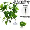 Planta Verde Artificial Paquete de Hojas de Potos de 7 Ramas Decoración Interior Exterior Versátil Arreglo de Paisajismo Decoración de Jarrón Embellecimiento Decoración Exterior