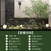 Simulación Árbol de Campanas Paisaje Escena Seca Caballo Borracho Madera Planta Verde Grande Combinación de Paisajismo Decoración Interior y Exterior Decoración de Ventana