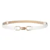 Cinturón Fino Nuevo de Piel Genuina para Mujer Cinturón de Vestido Decoración Estilo Coreano Cinturón Simple Sin Agujeros Cinturón de Mujer
