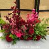 Flor Jardín Monet Viento Acabado Pila de Flores Red Celebratorio Disposición de Tienda Habitación de Boda Camino de Boda Decoración de Guía Paisajismo de Ventana
