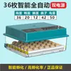 Incubadora totalmente automática, incubadora inteligente de huevos de aves de corral, directo de fábrica, disponible para exportación y comercio transfronterizo
