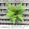 Nueva planta verde de simulación para exteriores, protector solar anti-ultravioleta, helecho de haz de selva tropical, helecho Pteris overlord