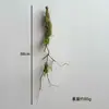 Cipós Mortos Artificiais, Galhos de Cipó, Galhos Mortos Musgosos, Cipós de Plantas Aquáticas, Paisagismo Artificial, Galhos de Musgo para Vitrine, Paisagismo Estilo Floresta