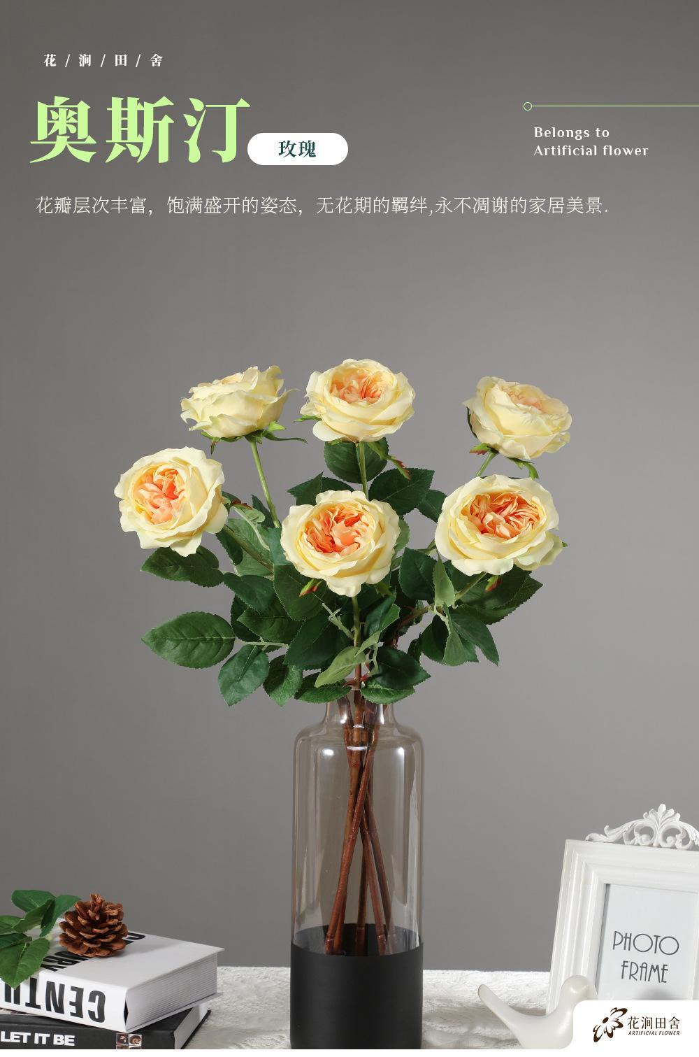 奥斯汀玫瑰单枝_01.jpg