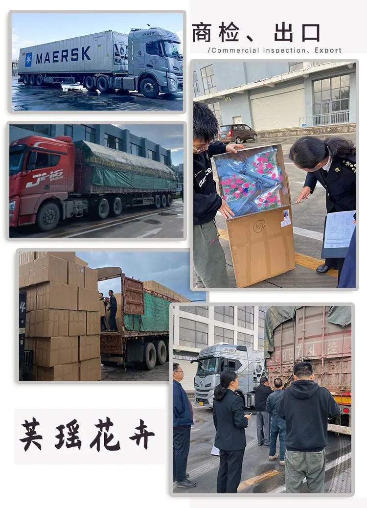 详情页_02 拷贝