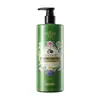 Shampoo de Base Biológica Luxuoso Refrescante Volumizador Controle de Oleosidade Fragrância de Longa Duração Limpeza Profunda Shampoo Anticaspa