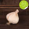 Simulación modelo de verdura y fruta falso verduras verdes pimiento rojo espuma plástica maíz rábano calabaza adornos decorativos accesorios
