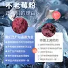 Polvo de Baya de Aronia, Polvo de Baya de Cereza Silvestre Grado Alimenticio, Materia Prima en Stock, Extracto de Baya de Aronia, Polvo de Fruta de Baya de Aronia Liofilizado Soluble en Agua