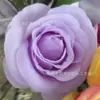 Ventas Directas de Fábrica de Cabezas de Flores de Rosa Artificiales para Arcos de Boda, Decoraciones de Paredes de Flores, Flores Artificiales, Flores de Seda, Materiales Hechos a Mano para DIY y Accesorios Florales
