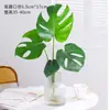 Planta Hidropônica Monstera Planta Verde Purificação do Ar Interno Ave do Paraíso Folha Grande Folhagem Perene de Interior Vaso Tronco Velho