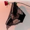 Roupas Íntimas Femininas de Renda Doce Francesa Laço de Renda 2025 Novo Forro de Algodão Estilo Pura Luxúria Tanga Feminina de Renda