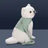Arnés de Pecho para Mascotas Traje de Tracción Perro Pequeño y Mediano Paseo de Perro Cuerda Multifuncional Ajustable Correa de Chaleco para Perro