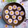 Flores de margarida rosa prensadas atacado DIY molduras para fotos artesanais marcadores de página cera de aromaterapia resina bolos