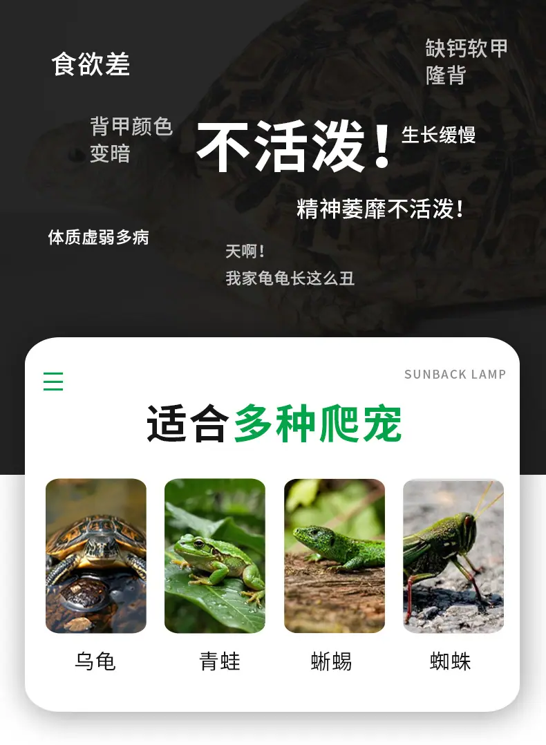 详情4_02.jpg