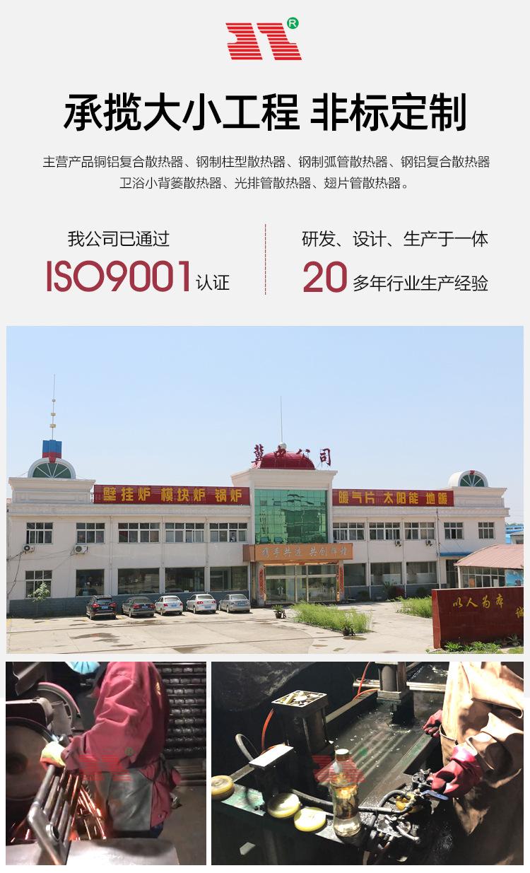 钢制五柱型暖气片散热器_03.jpg